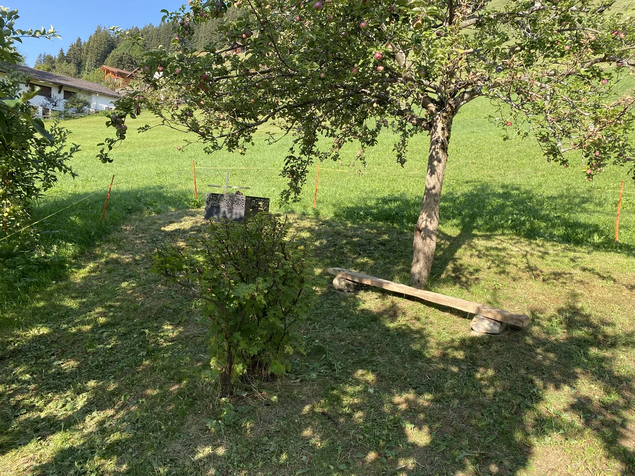 Feuerschale und alte Obstbäume